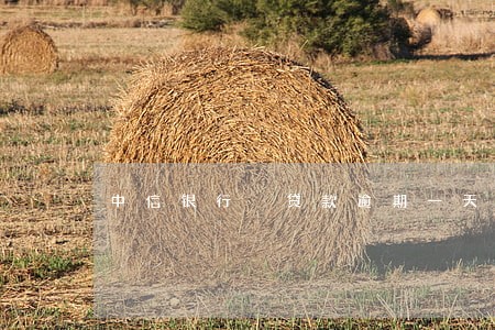 中信银行 贷款逾期一天 中信银行 贷款逾期一天